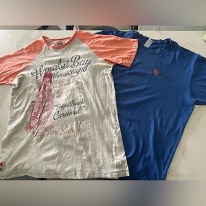 2 Men’s Casual Tees T-Shirts Size Medium M Blue Coral